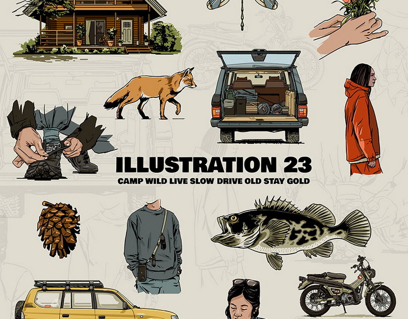 Смородская против Овчинникова во главе академии Локо: Опрометчивый шаг. Нужно знать много разных методик: у молодежи пубертат, у детей другая психология